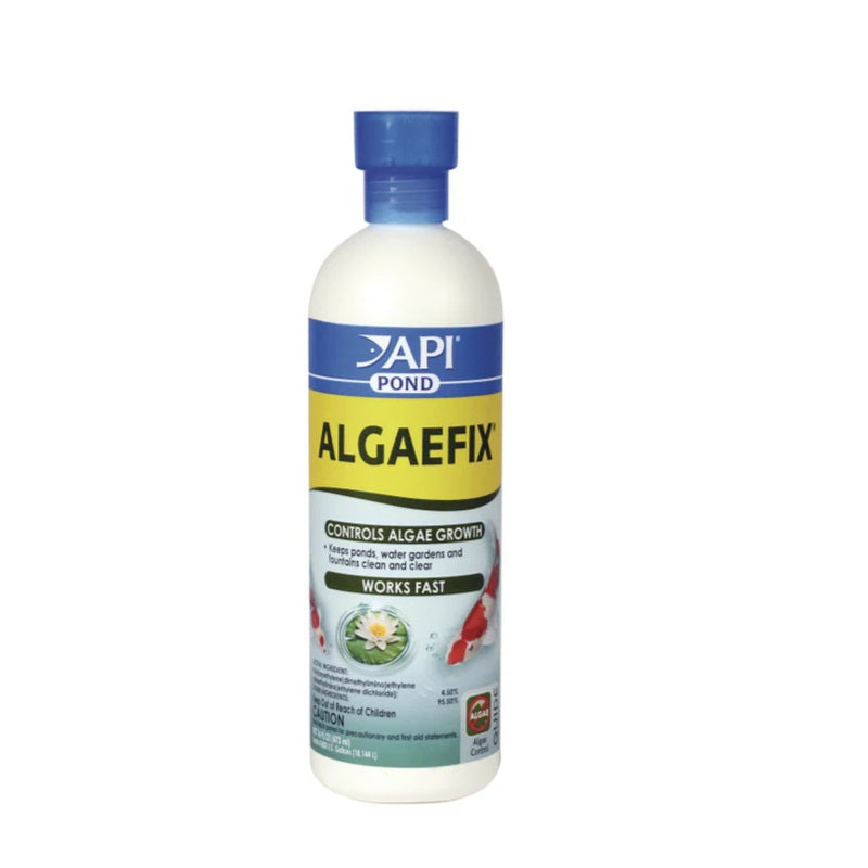 Pond Algae Treatment Christchurch Wilderness Woodend Reptile and Bird Pet Supplies Christchurch