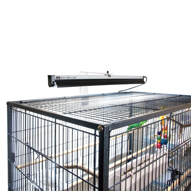 Arcadia PureSun UVB Midi Bird Light Kit 14w for caged birds UVB best bird lighting. Wilderness Woodend Bird Supplies New Zealand Best Prices. Ideal for Budgies, Cockatiels, Canaries and Finches