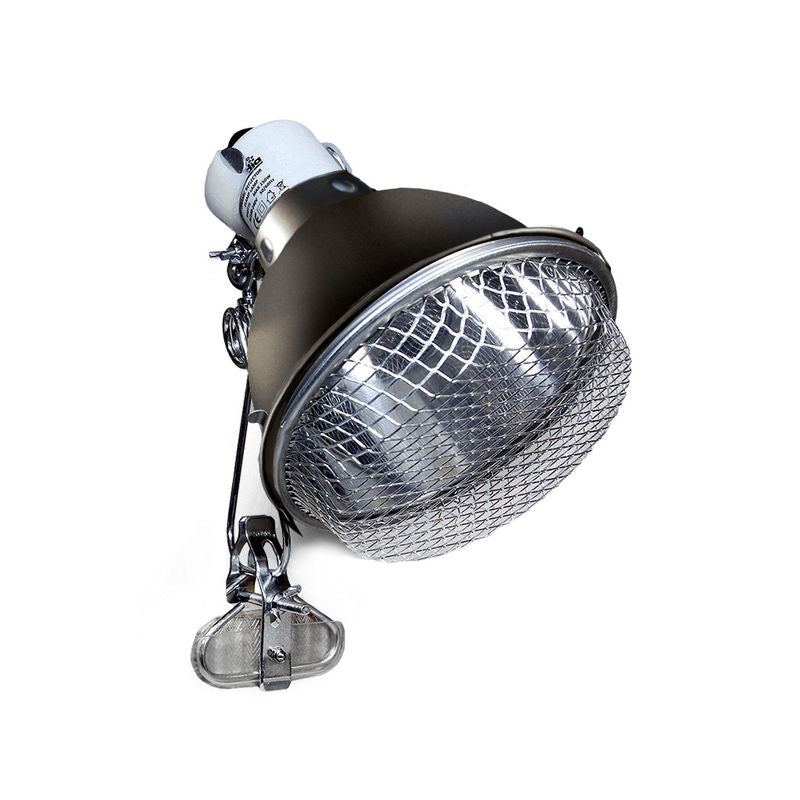 Aracdia Clamp Lamp Reptile Bulb Holder NZ Wilderness Woodend Reptile Supplies Online