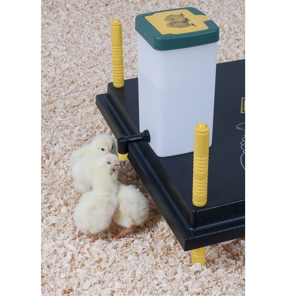 Poultry Drinker 1L Christchurch Chook Manor Nz Chicken Supplies Online Shop Now