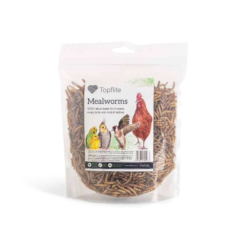 Dried Mealworms Chicken Duck Poultry Reptile Food Supplies New Zealand Wilderness Woodend