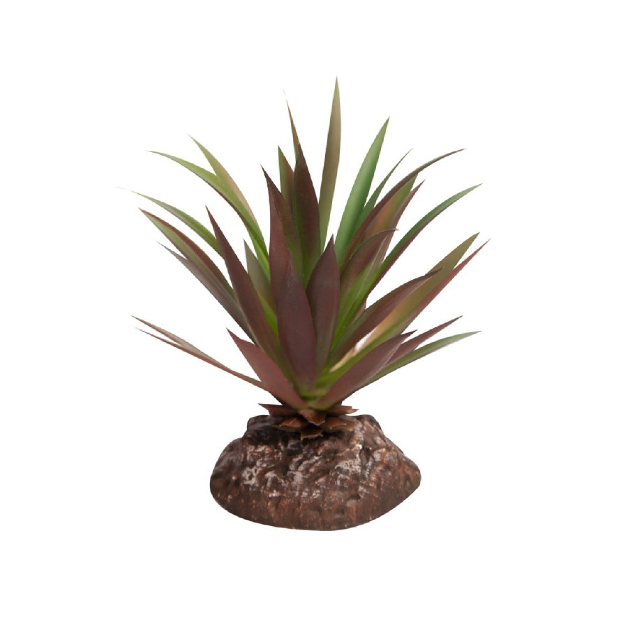 Reptile One Mini Crassula Green Red With Ceramic Base