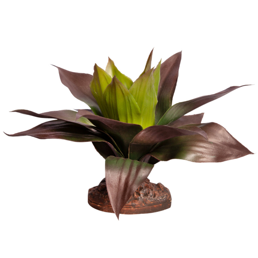 Reptile One Plant - Spathacea Medium 23cm