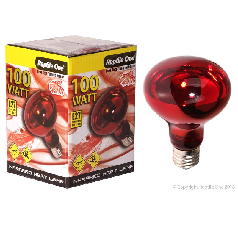 Reptile One Arcadia Reptile Supplies and heating NZ New Zealand Wilderness Woodend Christchurch Reptile Shop