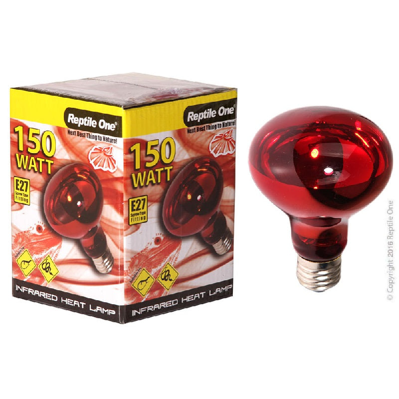 Reptile One Arcadia Reptile Supplies and heating NZ New Zealand Wilderness Woodend Christchurch Reptile Shop