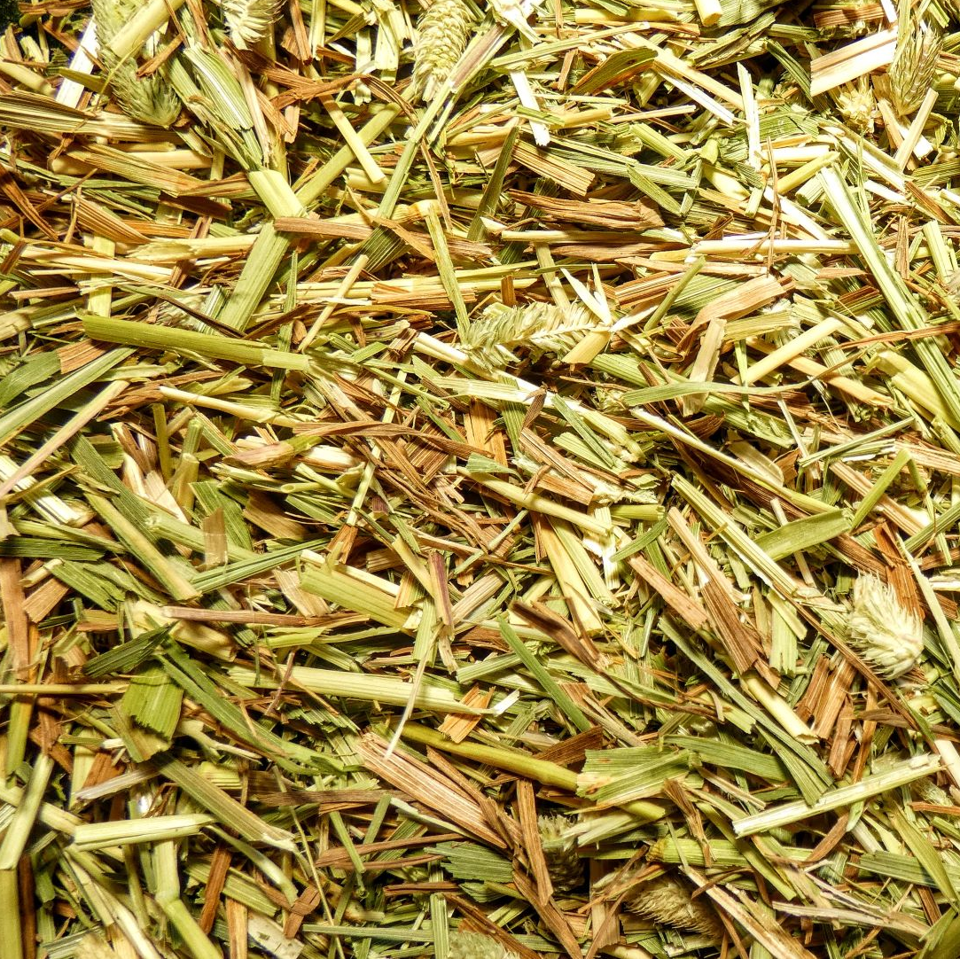 Timothy Hay Chaff Pet Supplies NZ Tortoise Feed Wilderness Woodend Rabbit Food