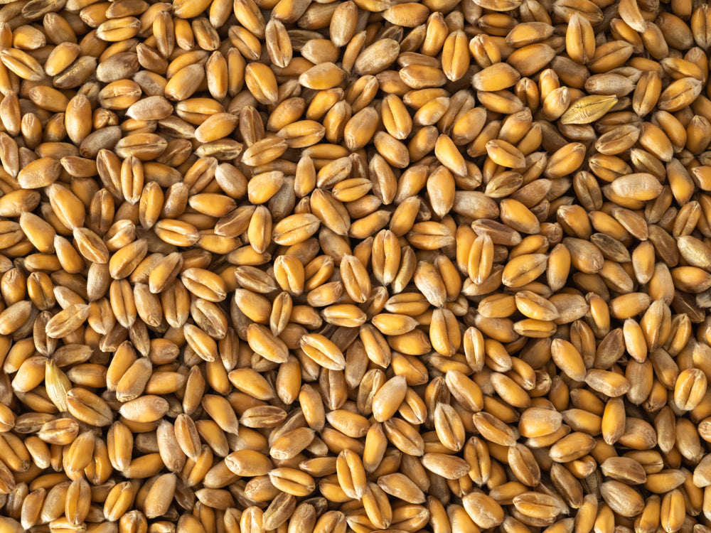 Topflite Wheat 10kg