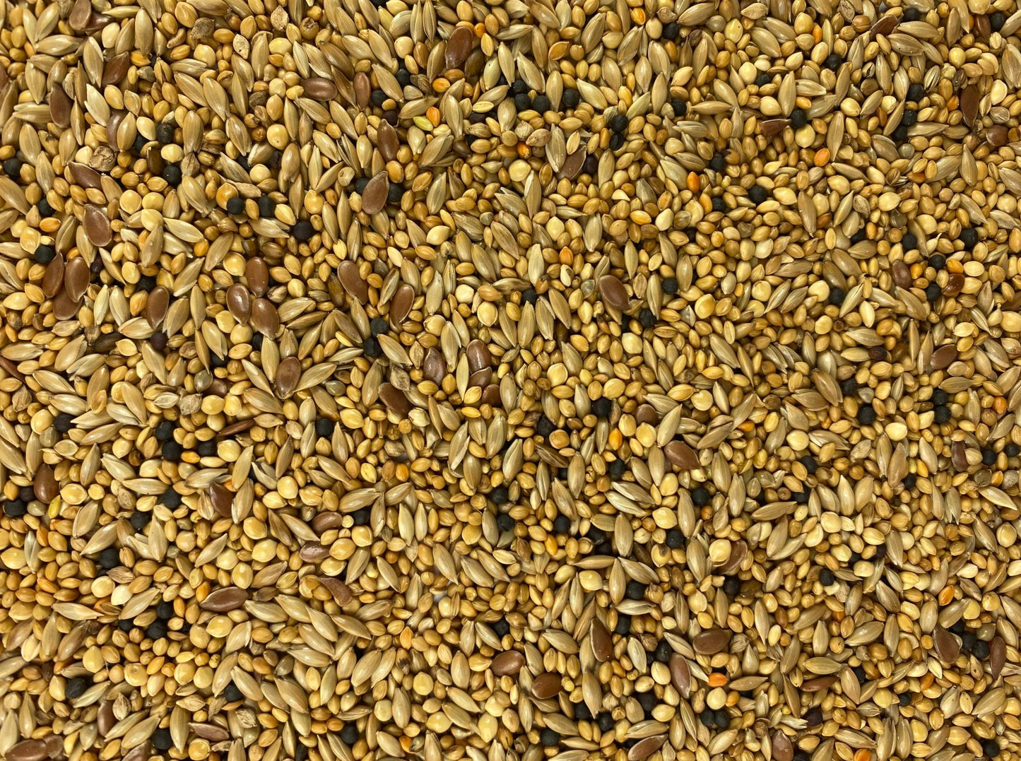 Topflite Finch Mix