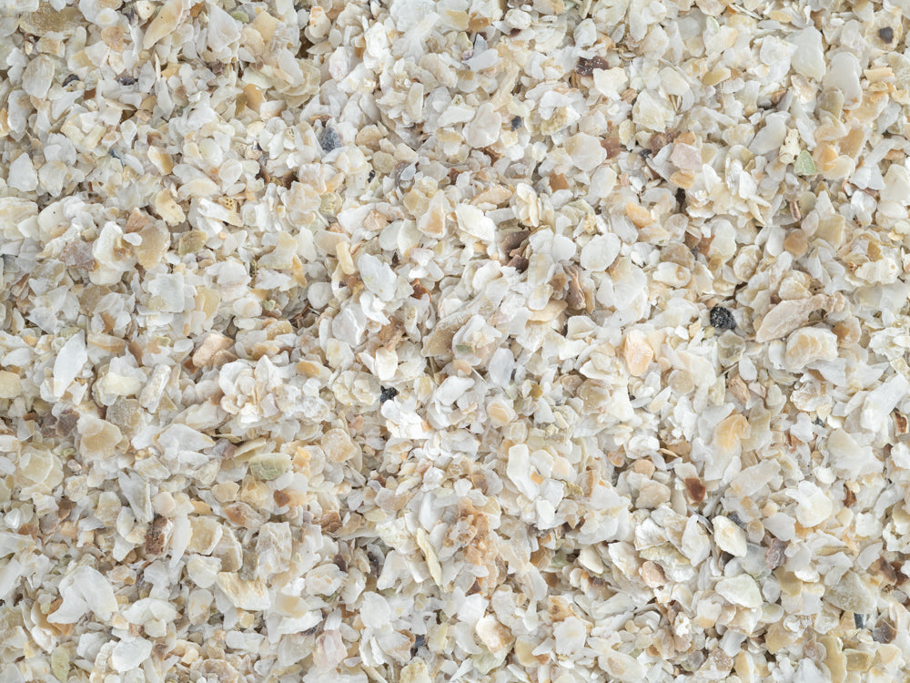 Topflite Grit Fine 2kg