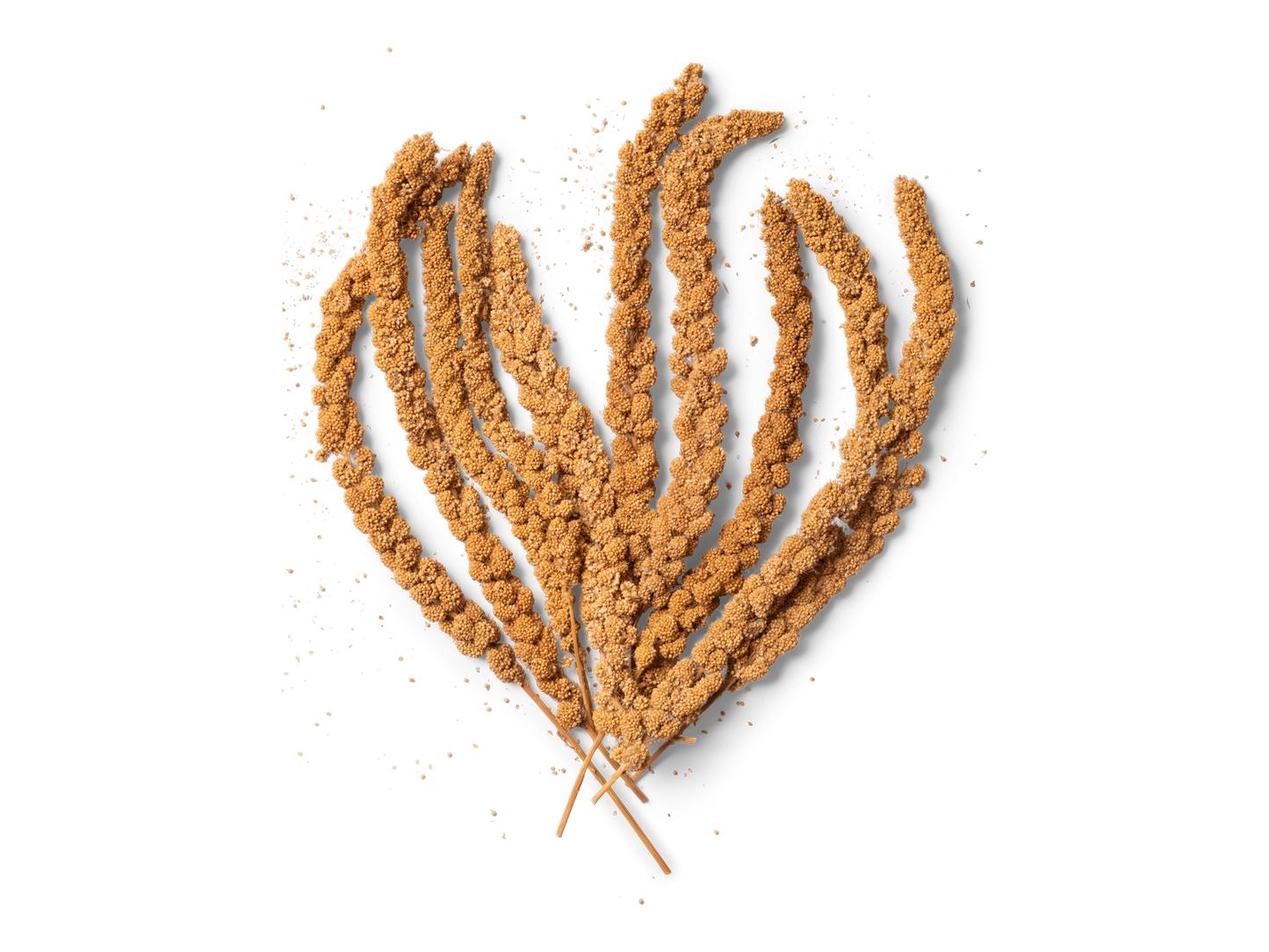 Premium Millet Sprays