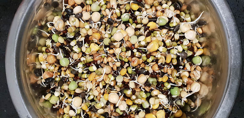 Topflite Super Sprout 2kg