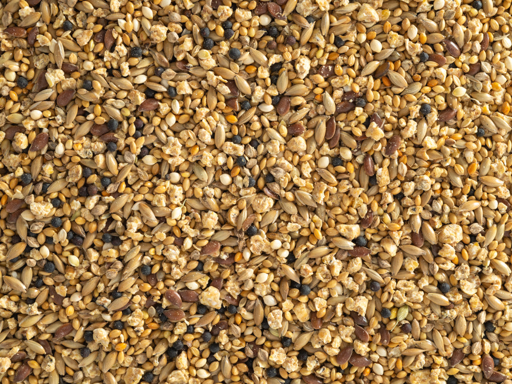 Topflite Quail Mix