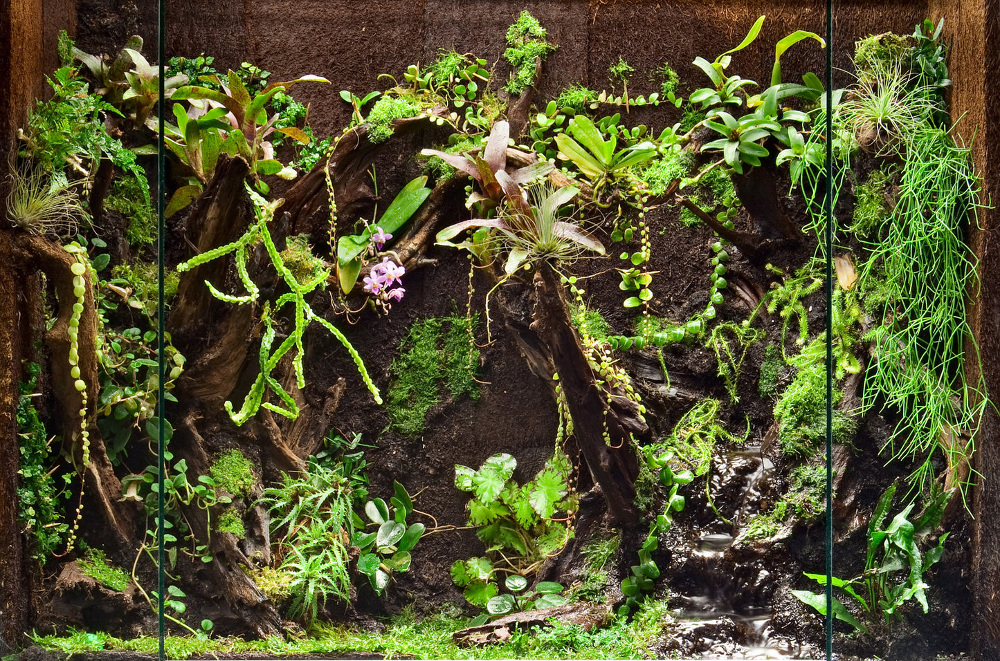 Terrarium Backing Tree Fern Panels - Small 30.5cmx15.2cmx1.5cm