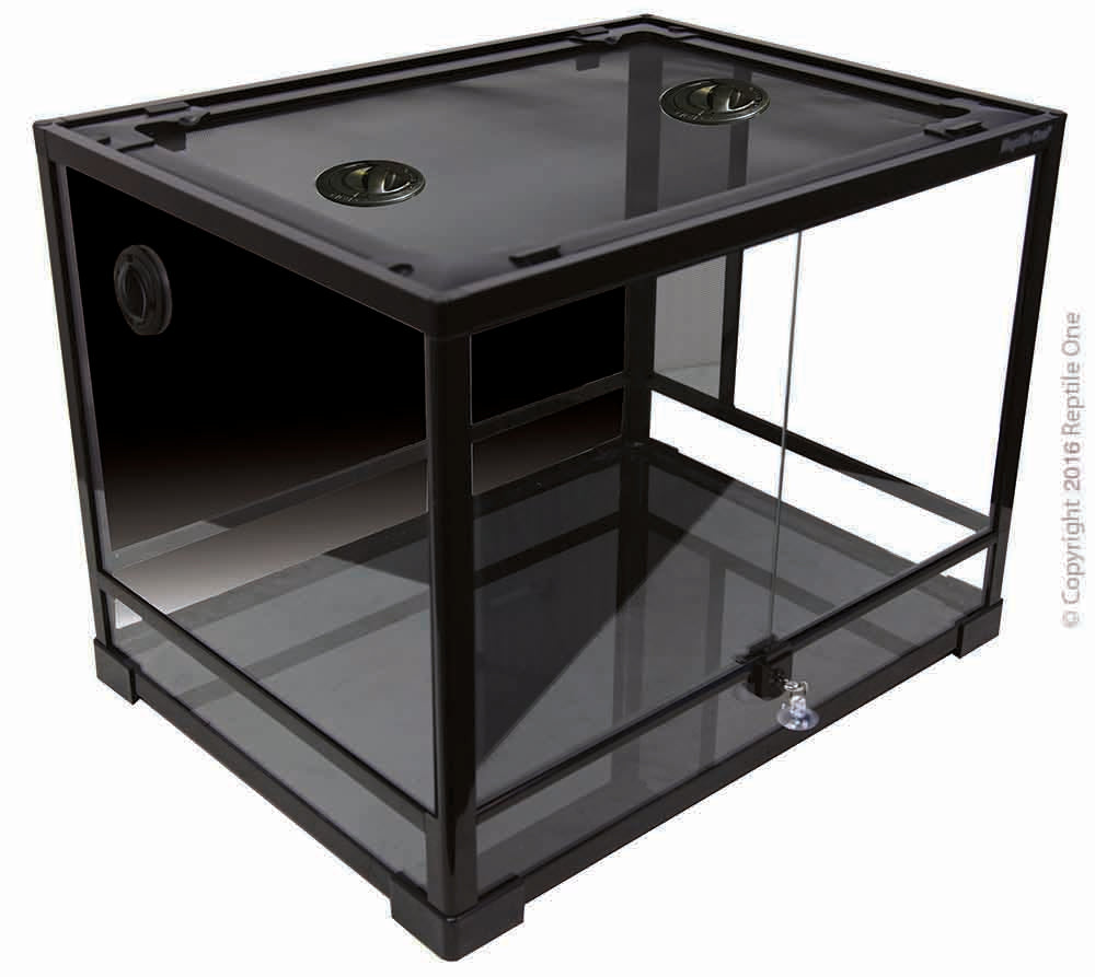 Reptile One Lizard Terrarium RTF-600H