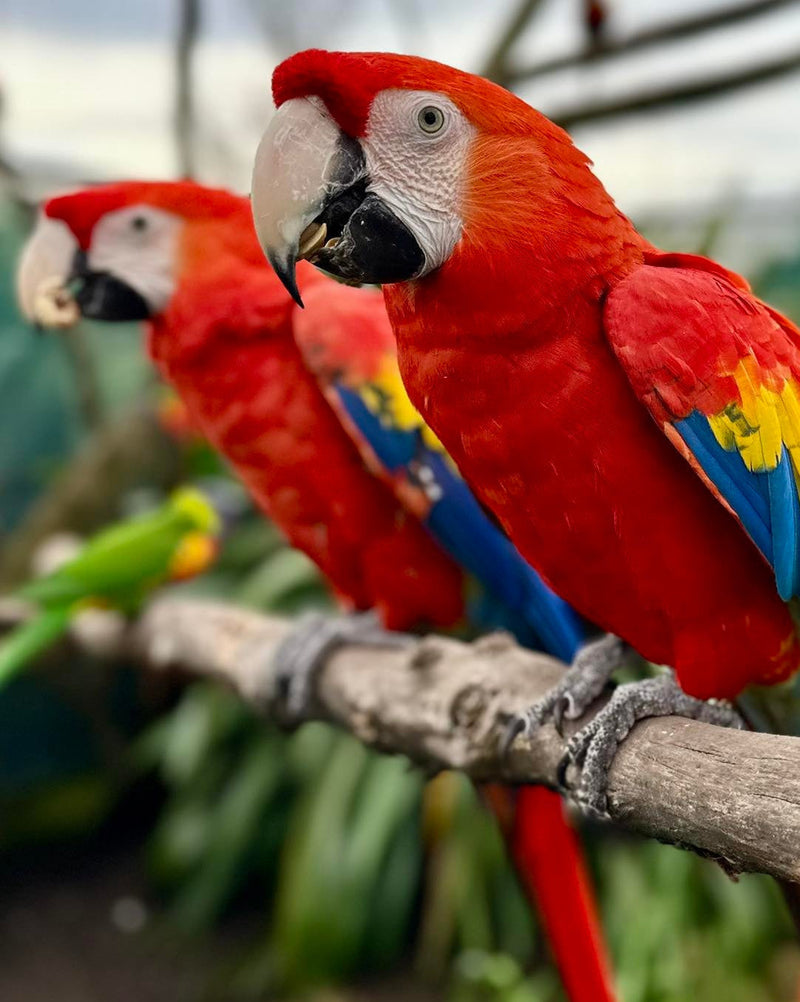 multicolumns-item-image-1