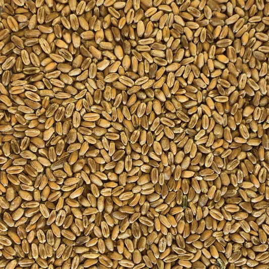 Chook Wheat - Machine Dressed 20kg