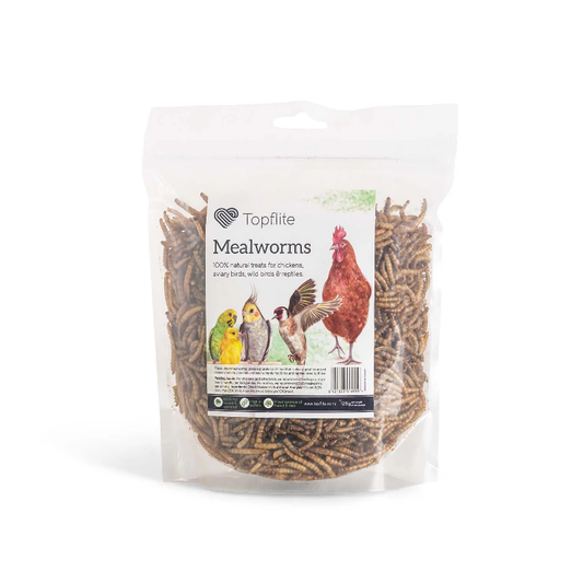 Dried Mealworms Chicken Duck Poultry Reptile Food Supplies New Zealand Wilderness Woodend