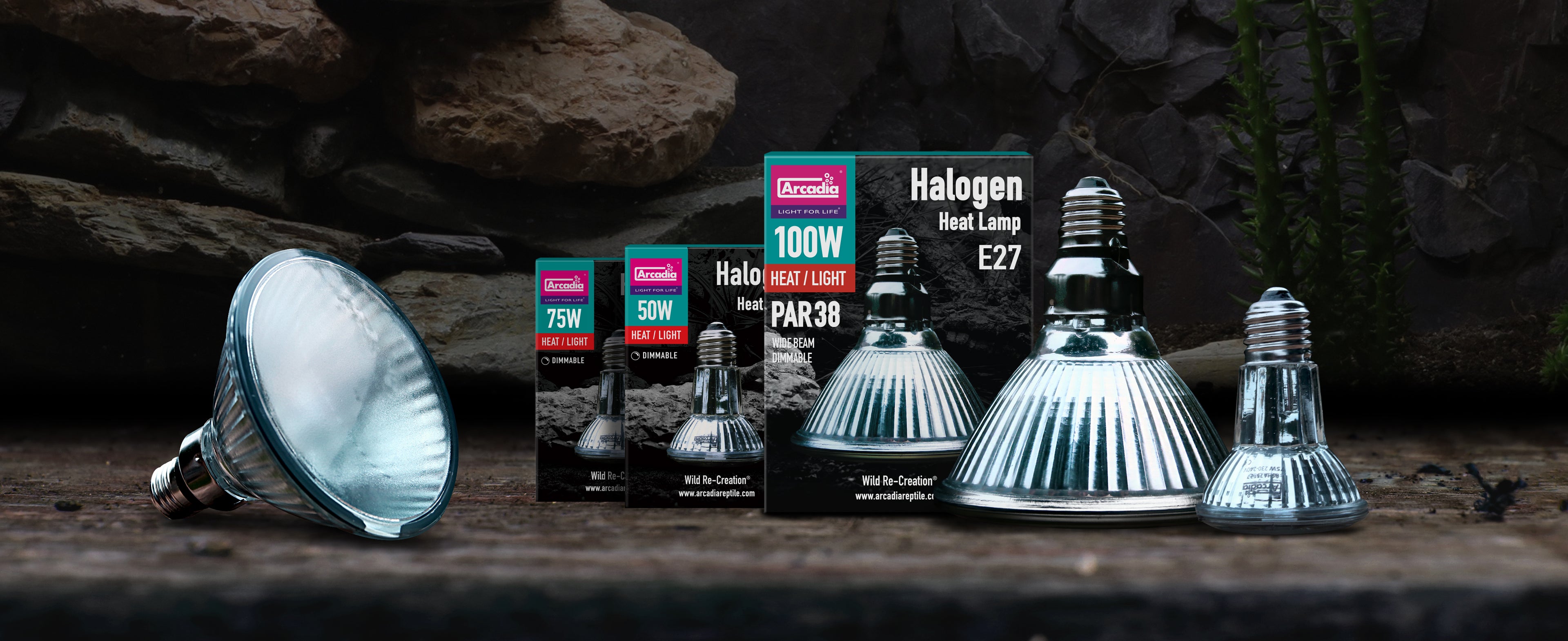 Load video: Arcadia Reptile Halogen Basking Spotlights