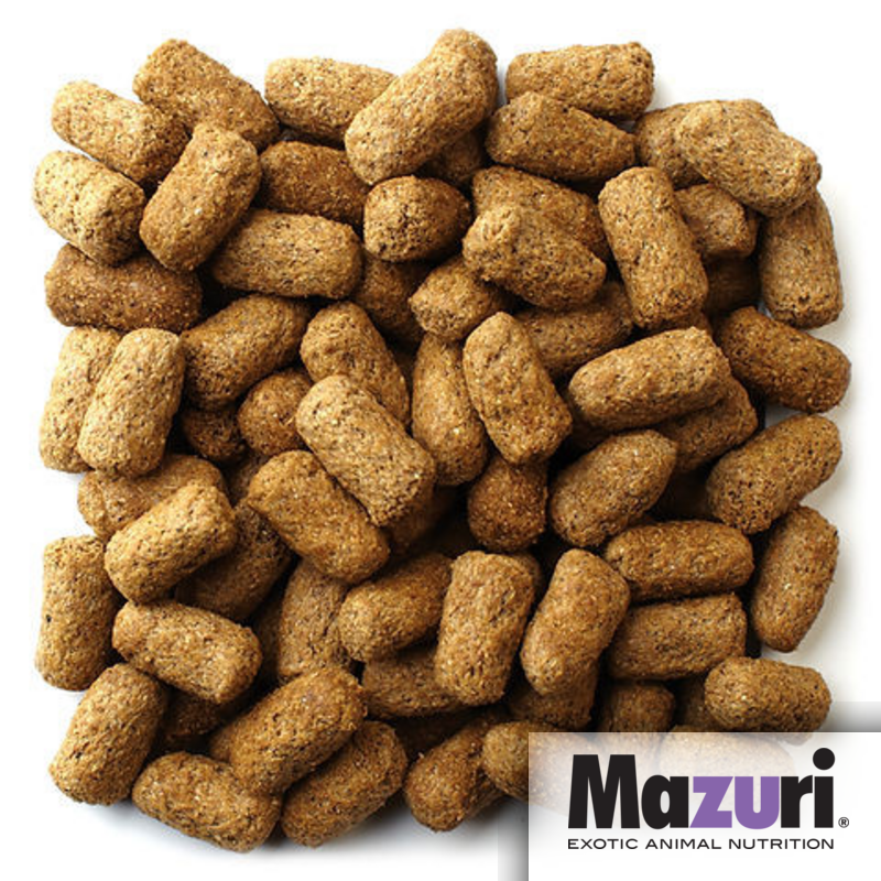 Mazuri Tortoise Food 600g