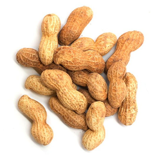 Peanuts Roasted In Shell Parrot Food New Zealand Wilderness Woodend Best Bird Quality Supplies NZ 