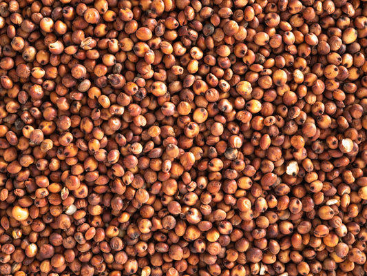 Topflite Red Sorghum Seed 20kg