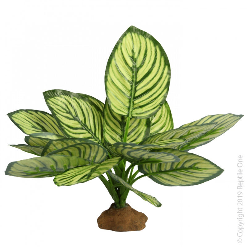 multicolumns-item-image-1