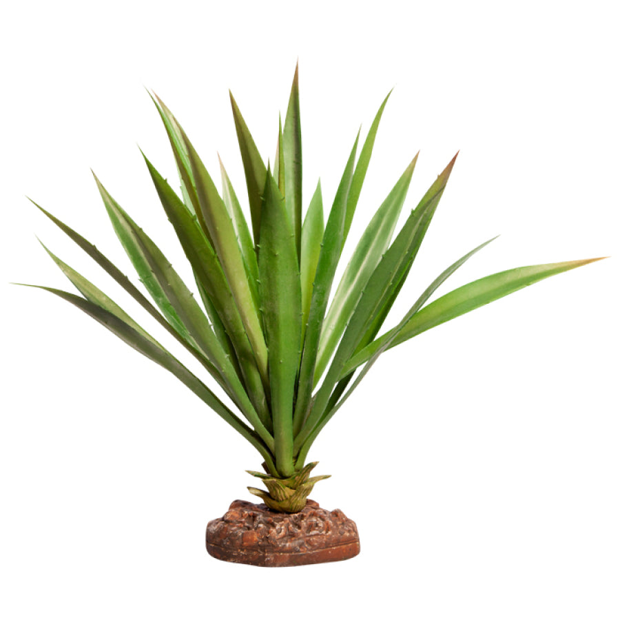 Reptile One Plant - Succotrina Green 32cm
