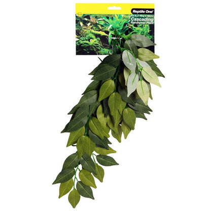 Reptile One Plant - Green Variegated Ivy Cascading