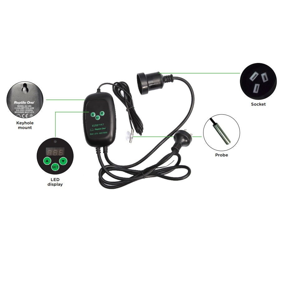 Best Reptile Shop NZ Christchurch Wilderness Woodend Arcadia Habistat Reptile One