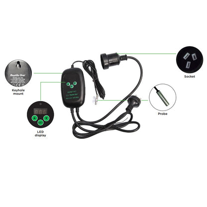 Best Reptile Shop NZ Christchurch Wilderness Woodend Arcadia Habistat Reptile One