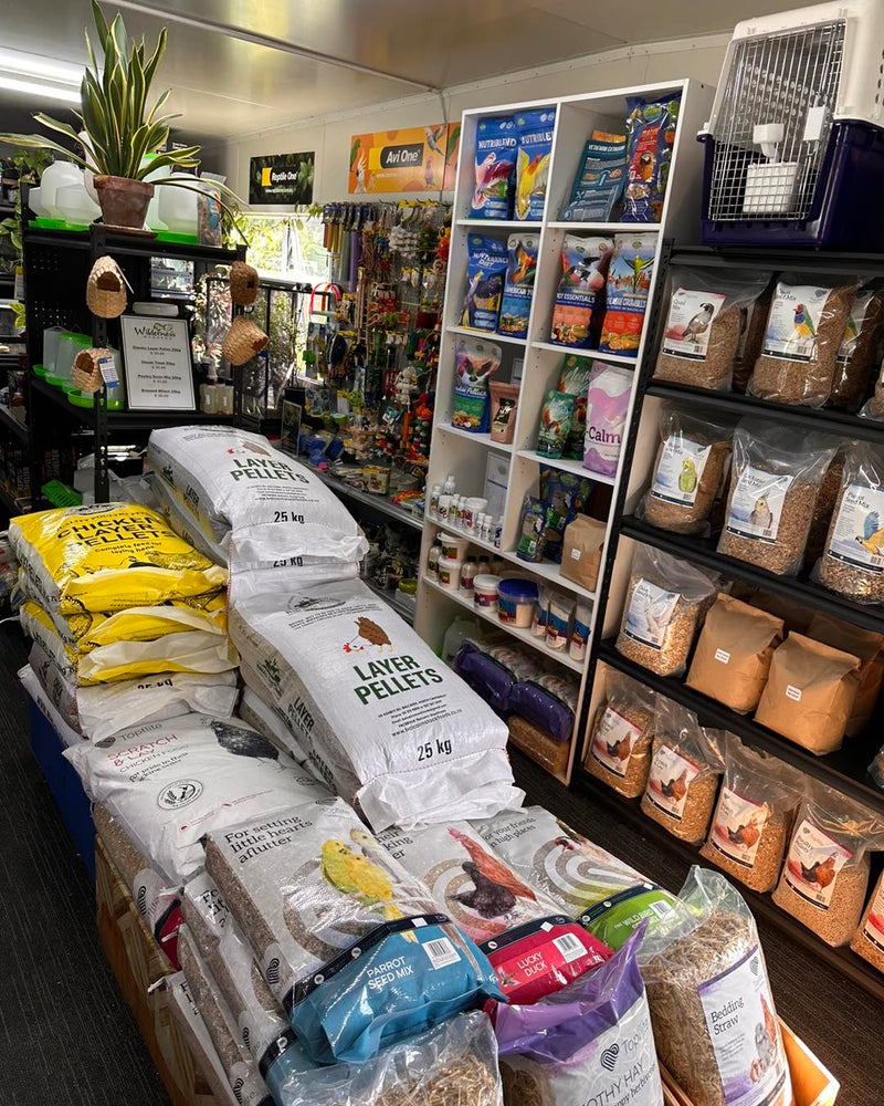 multicolumns-item-image-2