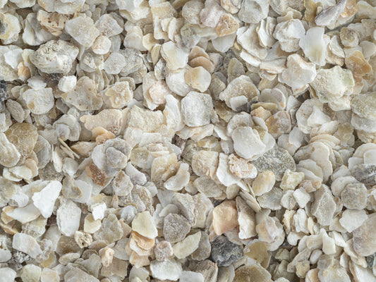 Oyster Shell Grit - Coarse 5kg