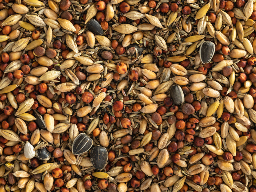 Topflite Wild Bird Seed Mix COARSE